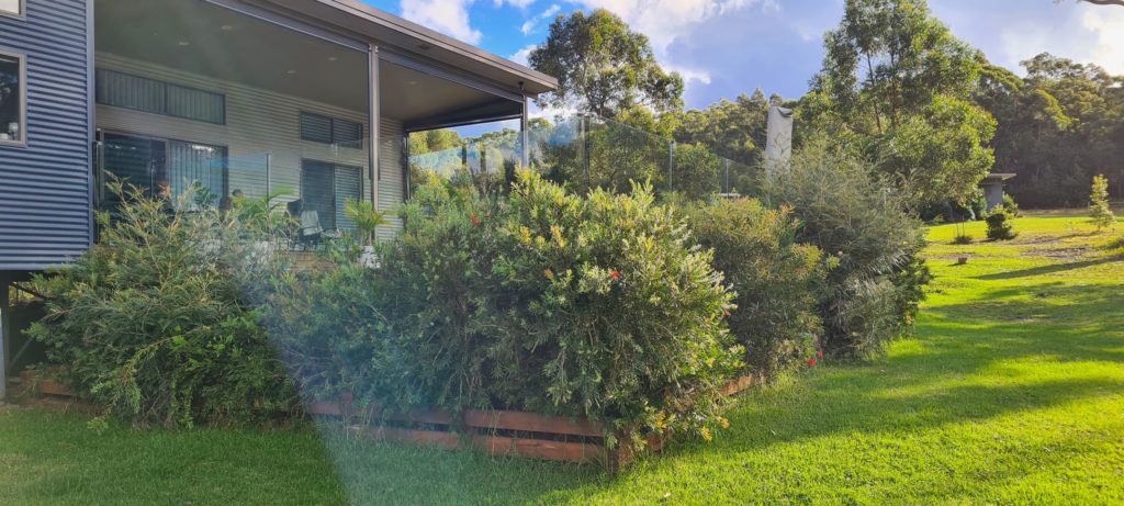 Trees and bushes — Pool Cover Systems in Nowra, NSW